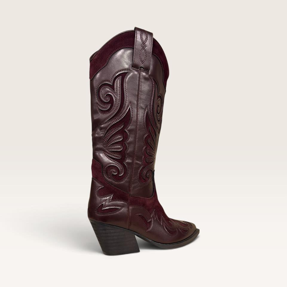 Western Boots D14